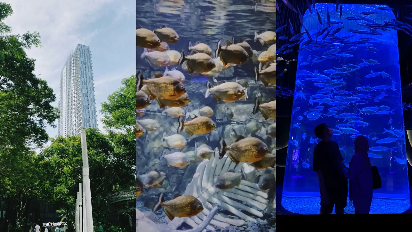 Jakarta Aquarium & Safari