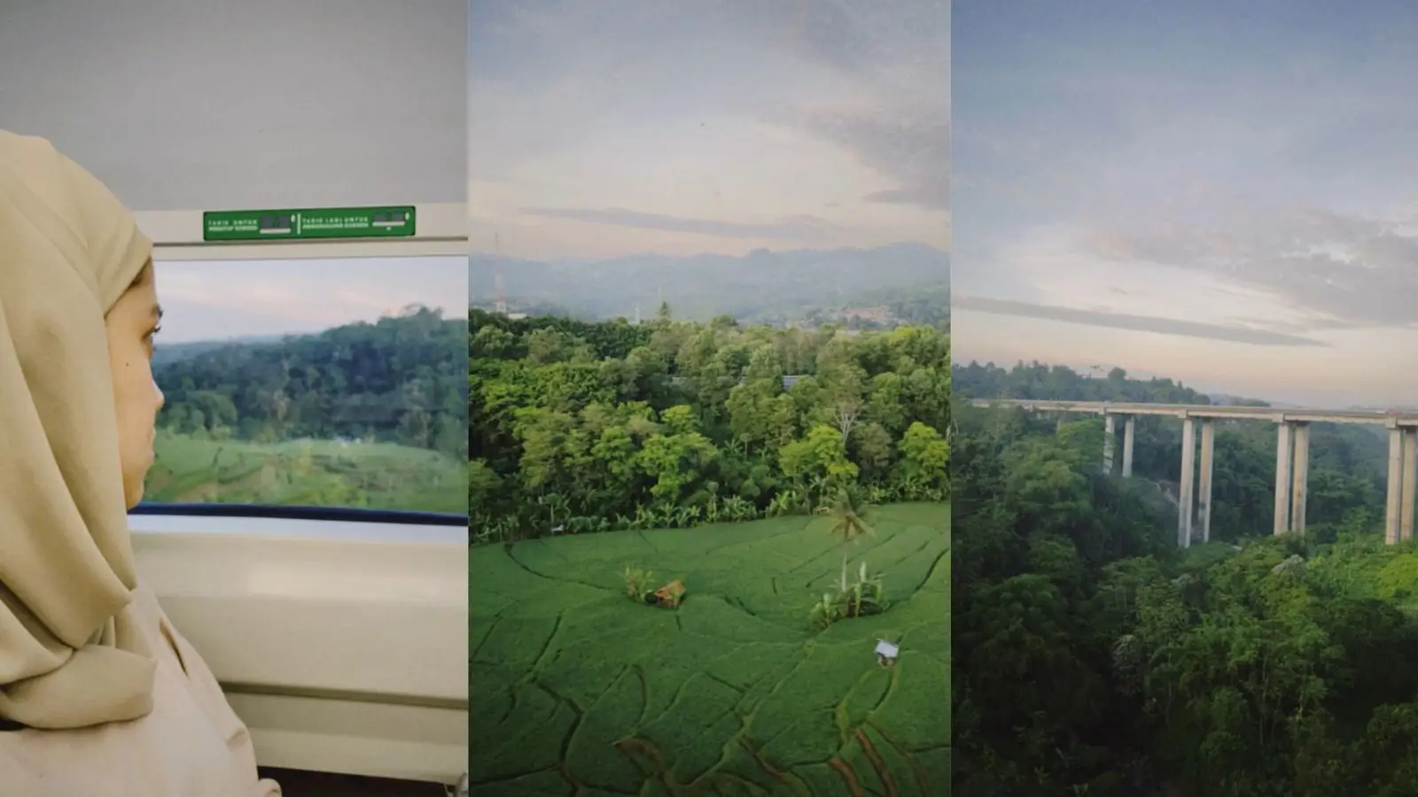 Trissa's enjoying the scenery